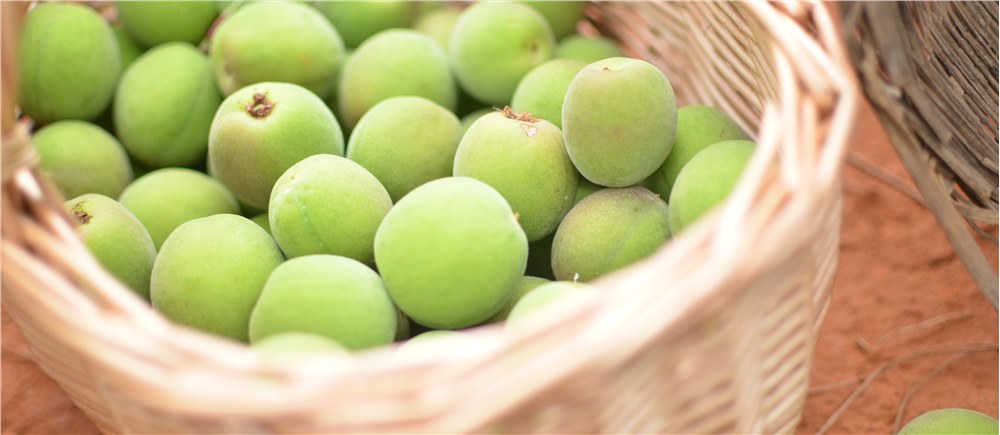 惠州同富康生物科技有限公司糖渍青梅全自动化密封生产线竣工环境保护验收公示